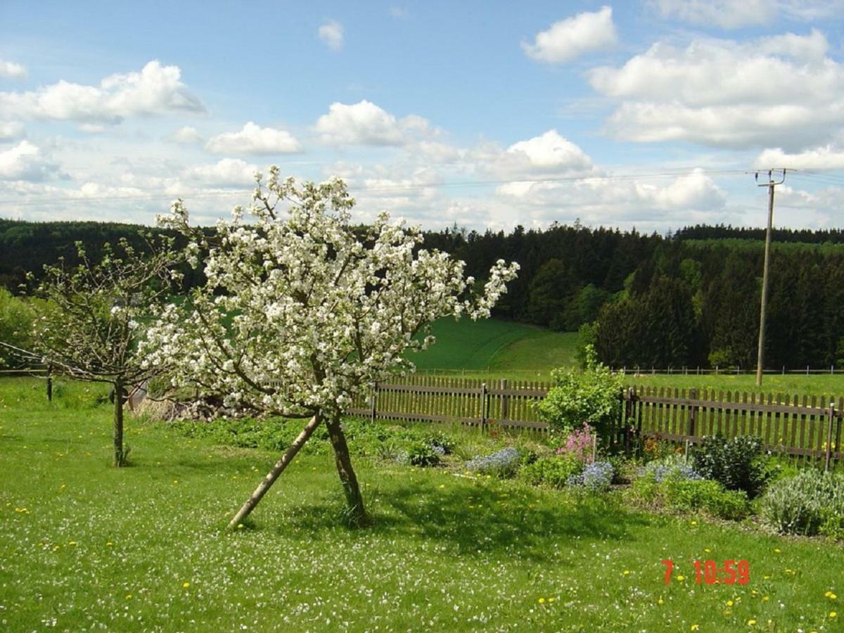Pension Steiger Bad Griesbach  Dış mekan fotoğraf